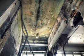 Asbestos and Lead Testing During Mold Inspection in Brevard, NC